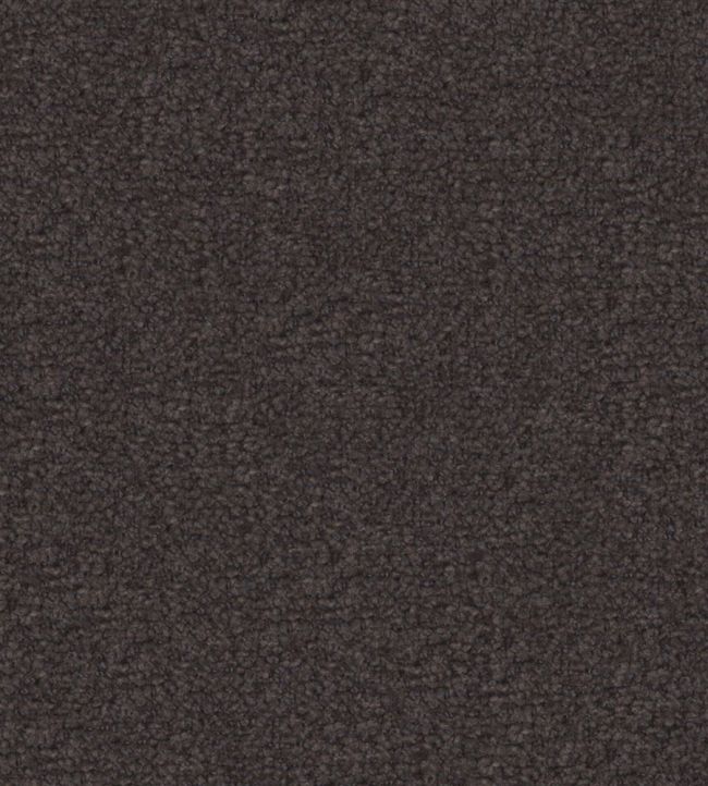 Cadenza Fabric by Designers Guild Charcoal