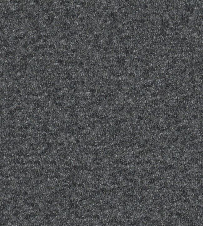 Cadenza Fabric by Designers Guild Graphite