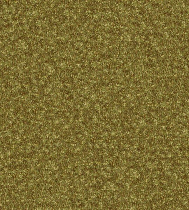 Cadenza Fabric by Designers Guild Leaf