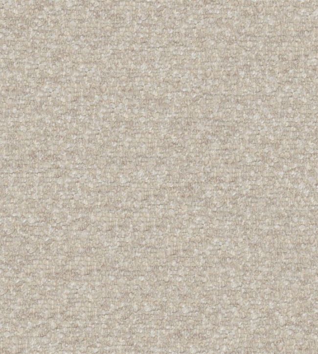 Cadenza Fabric by Designers Guild Limestone
