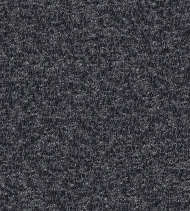 Cadenza Fabric by Designers Guild Midnight