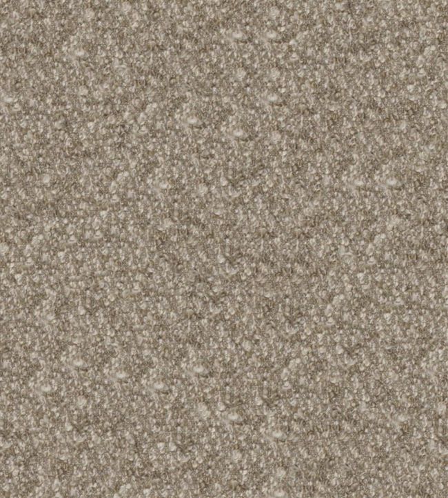 Cadenza Fabric by Designers Guild Mink