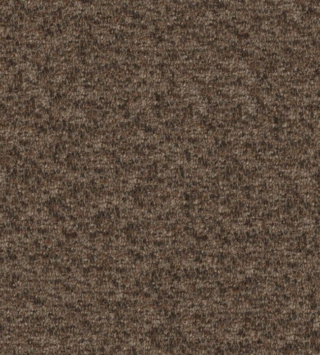 Cadenza Fabric by Designers Guild Moleskin