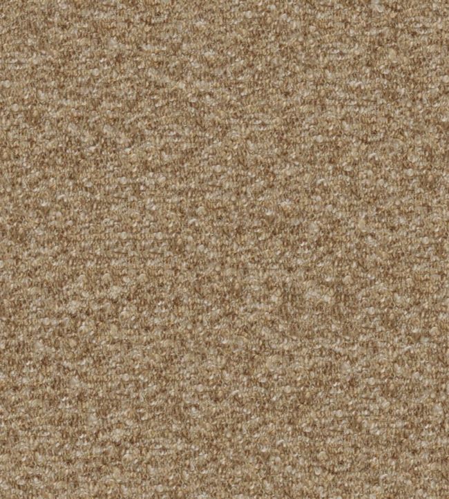 Cadenza Fabric by Designers Guild Nutmeg