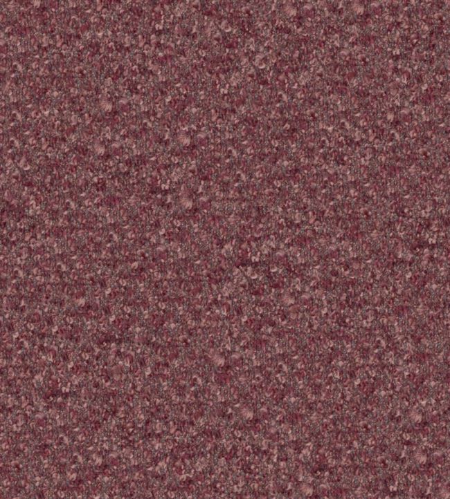 Cadenza Fabric by Designers Guild Tea Rose