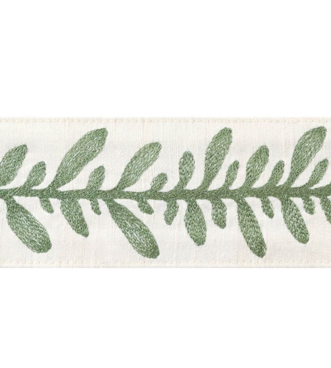 Calathea Tape Trimming by Thibaut Juniper