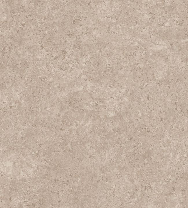 Calcaire Stucco Wallpaper by Arte Ash Rose