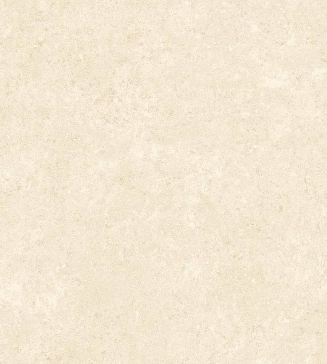 Calcaire Stucco Wallpaper by Arte Cream