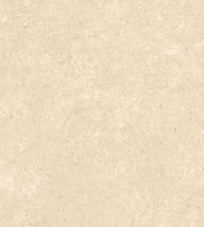 Calcaire Stucco Wallpaper by Arte Oat