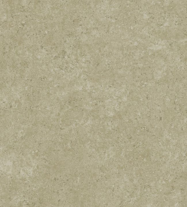 Calcaire Stucco Wallpaper by Arte Sage Green