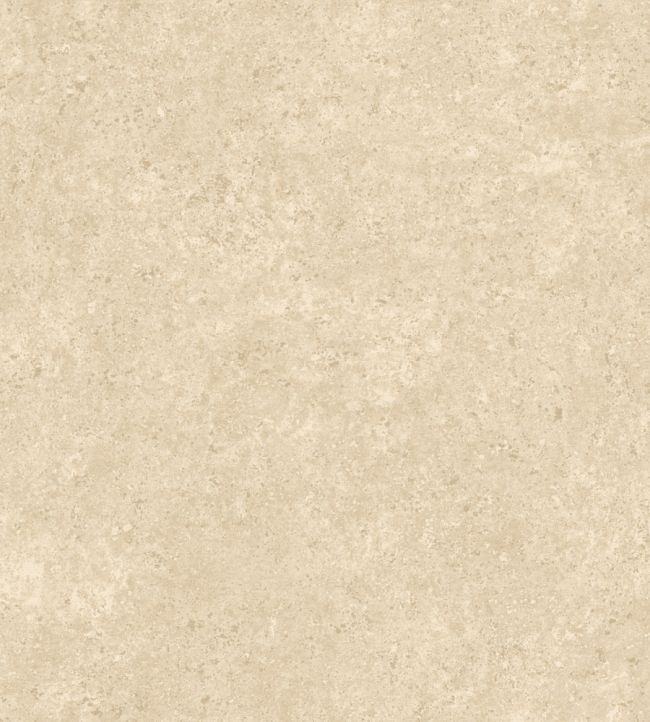 Calcaire Stucco Wallpaper by Arte Sand