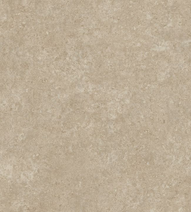 Calcaire Stucco Wallpaper by Arte Tan