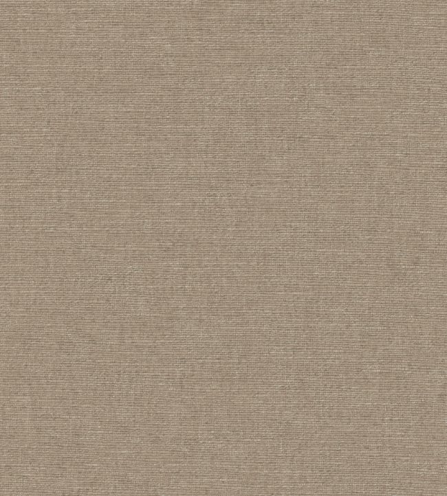 Cambridge Fabric by Warwick Obscura