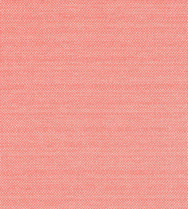 Cameron Fabric by Thibaut Coral