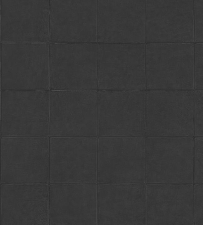 Campo Wallpaper by Arte Seal Brown