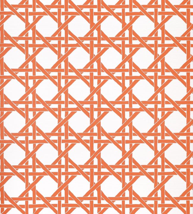 Canary Trellis Wallpaper by Thibaut Coral