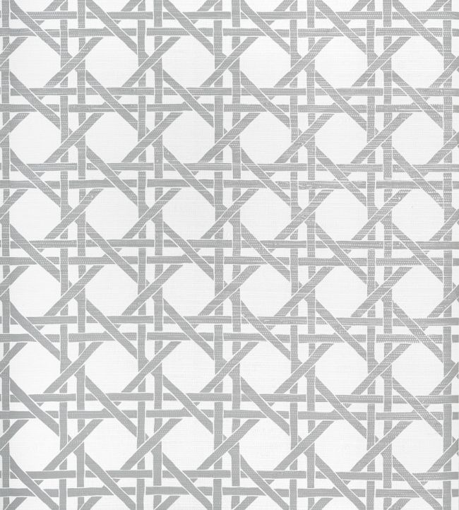 Canary Trellis Wallpaper by Thibaut Metallic Silver