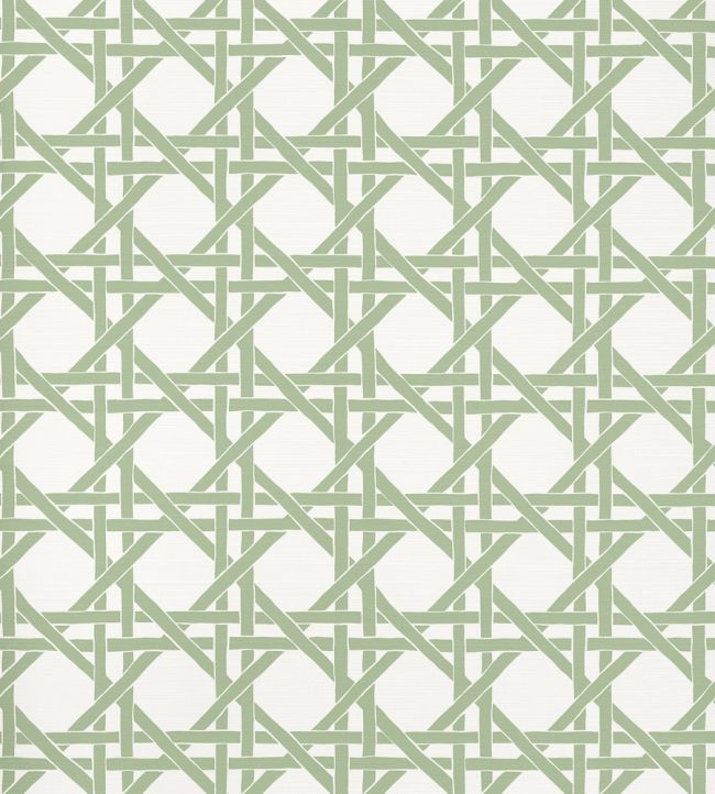 Canary Trellis Wallpaper by Thibaut Willow