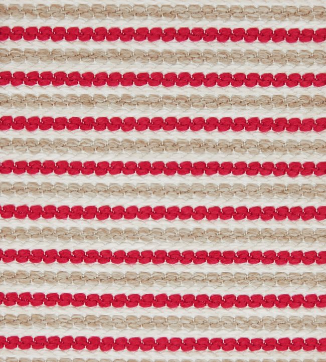 Candy Stripe in Harlow Fabric by Liberty Lacquer