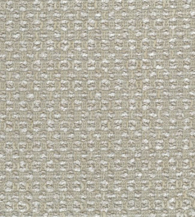 Canna Fabric by Osborne & Little Canvas
