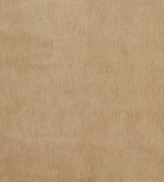 Cape Mohair Fabric by Warwick Almond