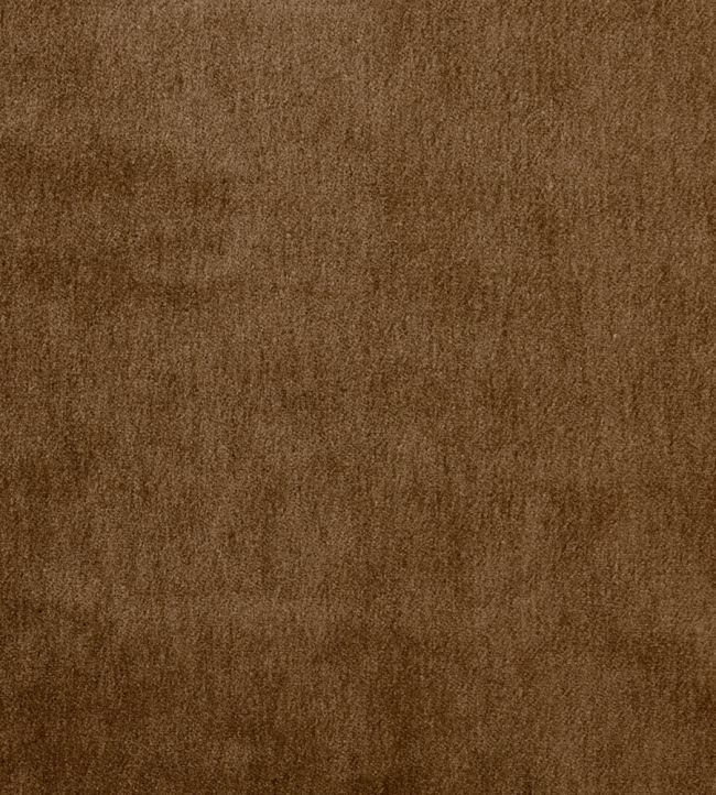 Cape Mohair Fabric by Warwick Gingerbread