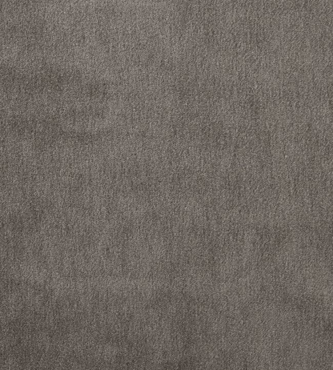 Cape Mohair Fabric by Warwick Harbour