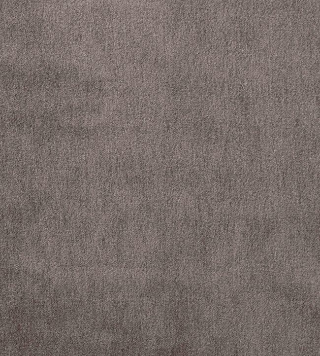 Cape Mohair Fabric by Warwick Husky