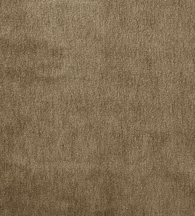 Cape Mohair Fabric by Warwick Lichen