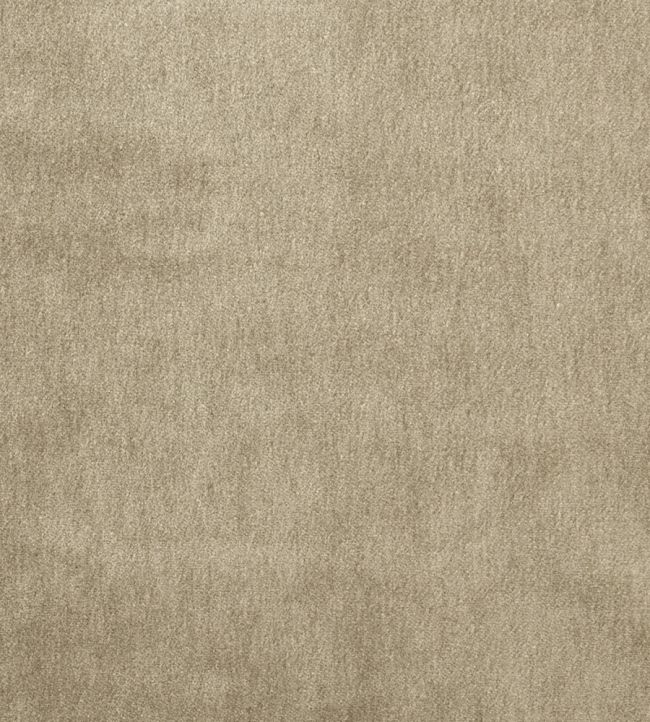 Cape Mohair Fabric by Warwick Lunar