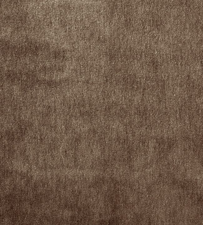 Cape Mohair Fabric by Warwick Nutmeg
