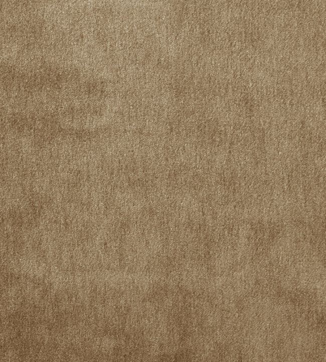 Cape Mohair Fabric by Warwick Papyrus