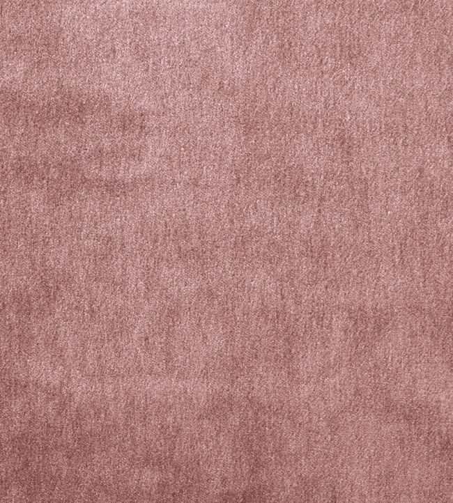 Cape Mohair Fabric by Warwick Rose