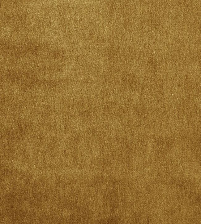Cape Mohair Fabric by Warwick Saffron