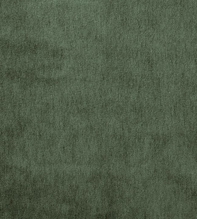 Cape Mohair Fabric by Warwick Thyme