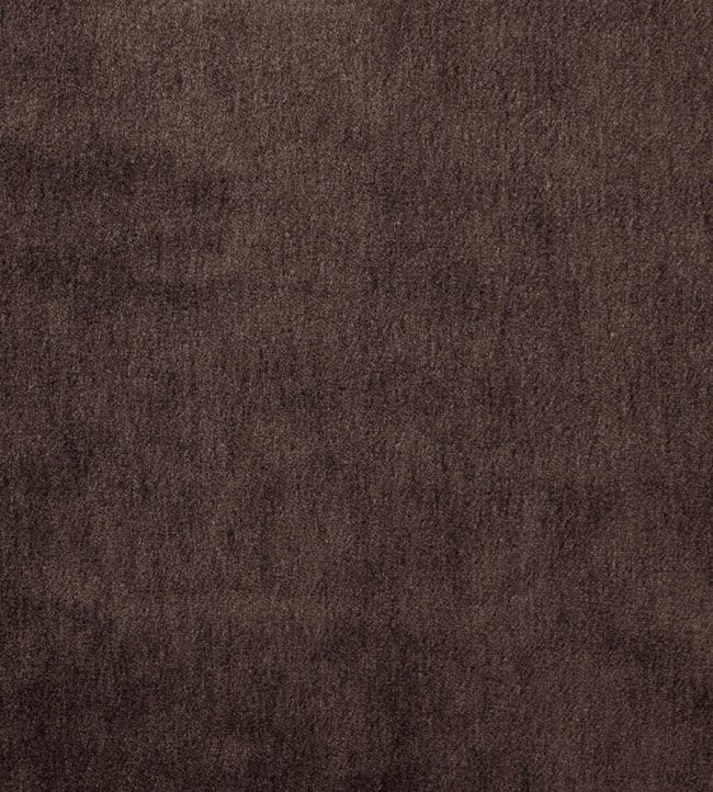 Cape Mohair Fabric by Warwick Truffle