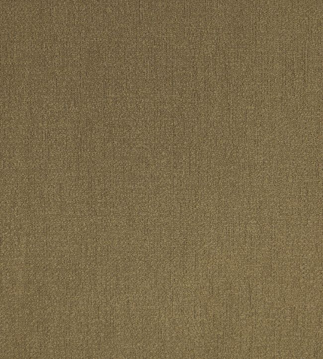 Capitol Fabric by Pepe Penalver Brown