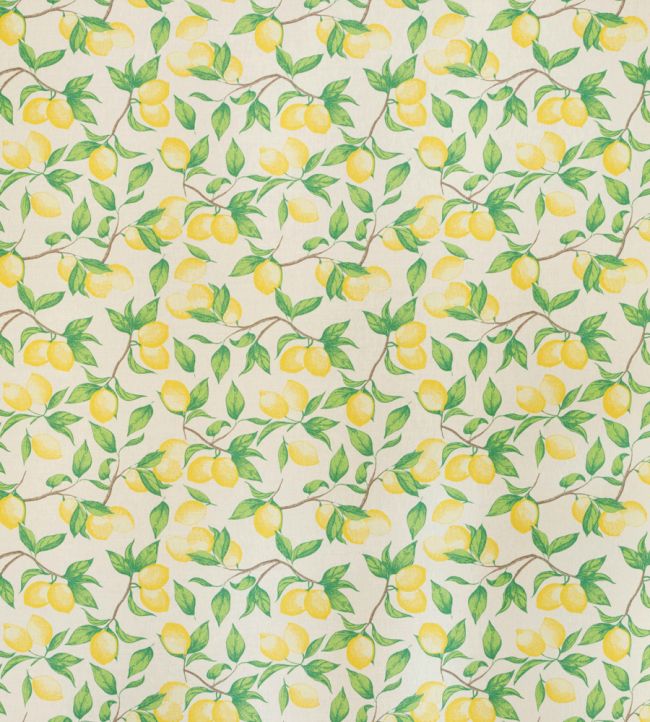 Capri Lemon Fabric by Barneby Gates Cream