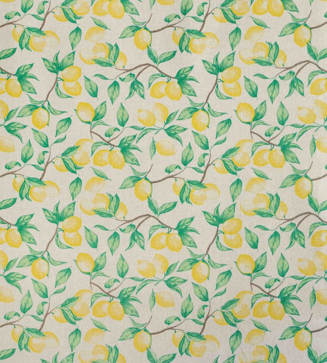 Capri Lemon Fabric by Barneby Gates Natural
