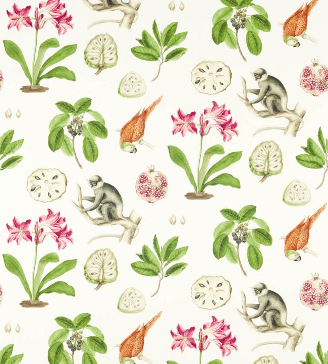 Capuchins Fabric by Sanderson Multi