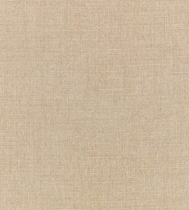 Carallio Fabric by Zinc Linen