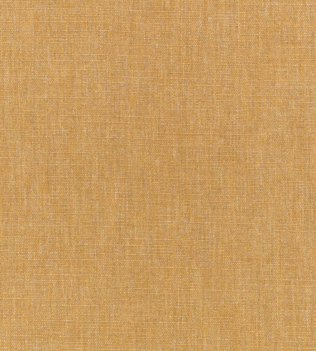 Carallio Fabric by Zinc Ochre