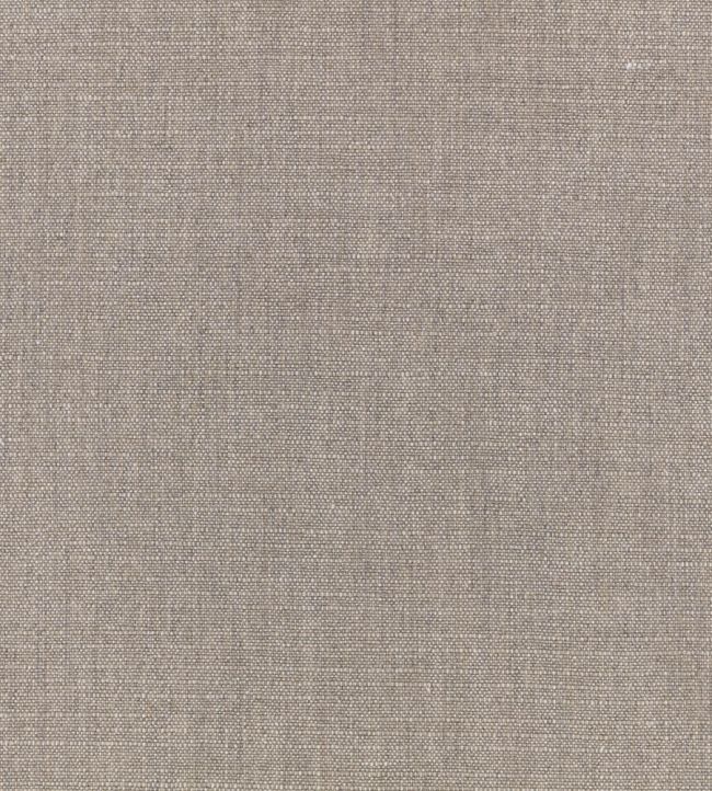 Carallio Fabric by Zinc Silver Grey