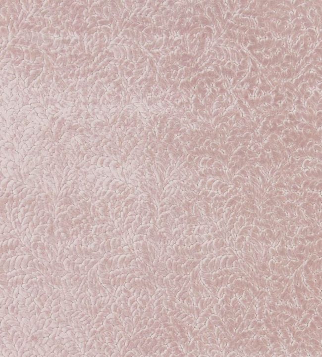 Cartouche Fabric by Designers Guild Blossom