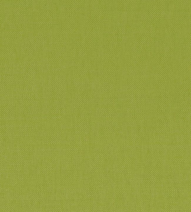 Paris Texas Fabric by Casamance Vert Mousse