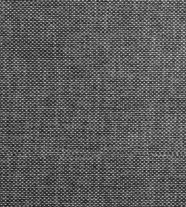 Cascade Fabric by Thibaut Charcoal
