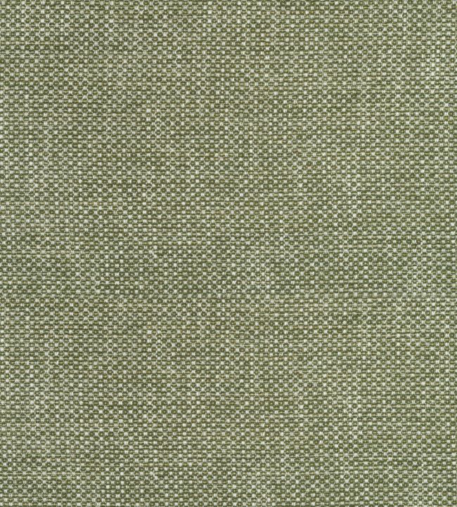 Cascade Fabric by Thibaut Ivy