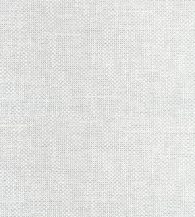 Cascade Fabric by Thibaut Platinum