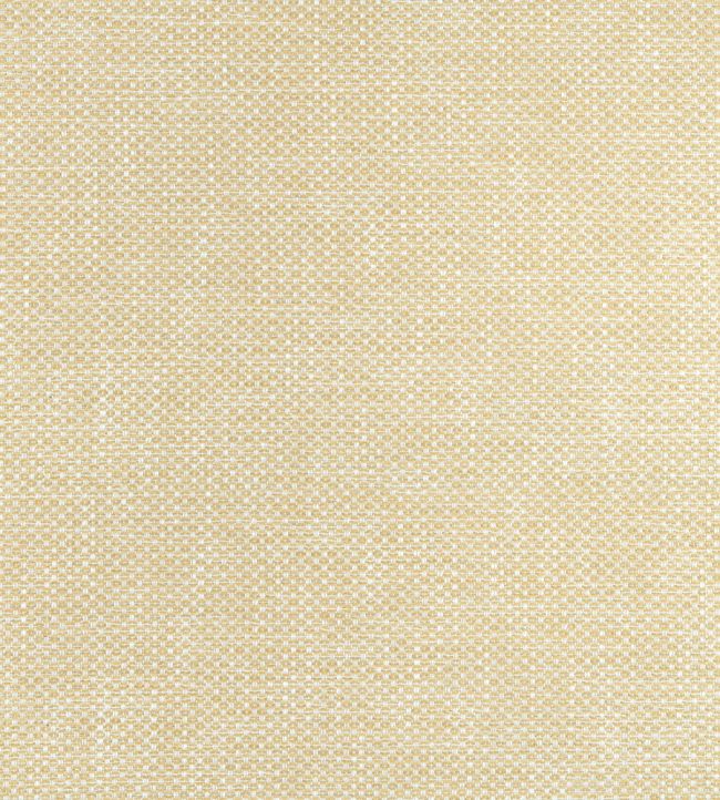 Cascade Fabric by Thibaut Straw