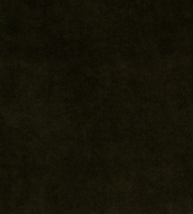 Cashmere Velvet Fabric by de Le Cuona Onyx
